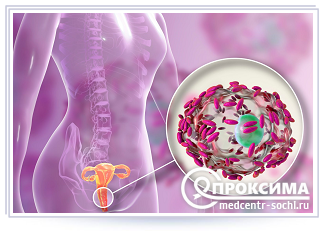 Болезнетворная микрофлора