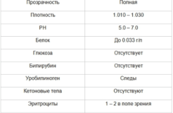 Анализ мочи — расшифровка результатов