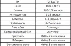Анализ мочи у ребенка — расшифровка и норма
