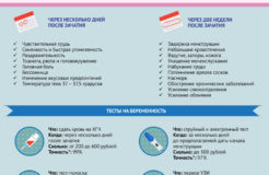 Анализ на определение беременности на ранних сроках