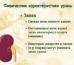 Когда начинает пахнуть моча у грудничка аммиаком