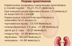 Креатинин, мочевина и цистатин С: нормы при заболеваниях почек