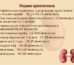 Креатинин, мочевина и цистатин С: нормы при заболеваниях почек