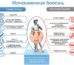 Лейкоциты в моче — норма по возрасту, причины повышенных показателей лейкоцитов у ребенка, женщин, мужчин