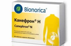 Песок в почках — лечение народными средствами