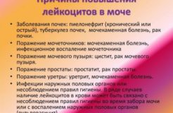 Повышенные лейкоциты в моче у грудничка — причины