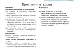 Все, что нужно знать о низком уровне креатинина