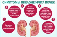 Хронический пиелонефрит: причины, симптомы и лечение