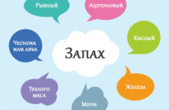 Запах из влагалища (неприятный, мочи и тухлой рыбы, кислый и т